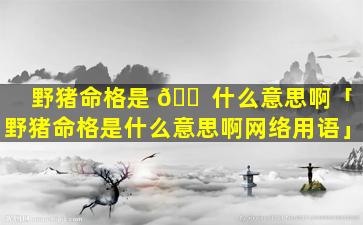 野猪命格是 🐠 什么意思啊「野猪命格是什么意思啊网络用语」